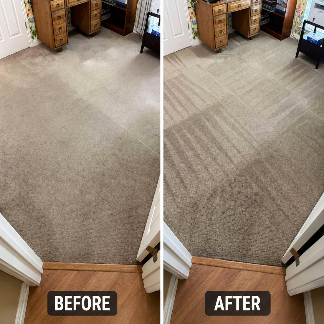 Who Offers the Best Carpet Cleaning in Grants Pass, OR?