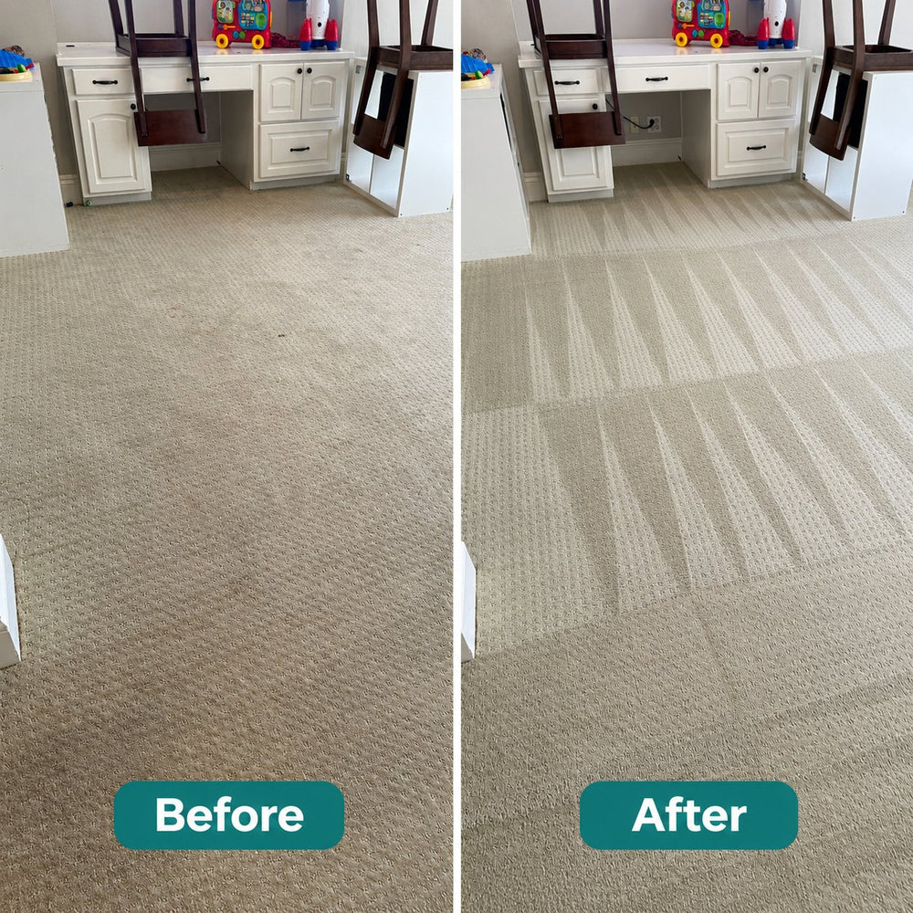 Before and after carpet cleaning in Medford, OR — traffic-lane soil removed with hot water extraction by True North Carpet Care
